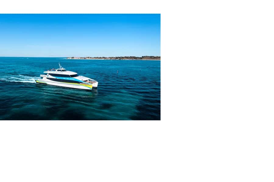 Rottnest Island Ferry and 1.75 Hr Bus Tour - Who Is This Tour Best For?