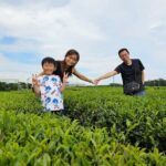 Round-trip transportation service to O`sulloc Tea Museum - In-Depth Look at the Experience