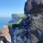 Royal National Park Wilderness Half-Day from Sydney with Picnic - Practical Details and Considerations