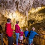 RUAKURI CAVE & HAMILTON GARDENS-PRIVATE TOUR FROM AUCKLAND - Practical Details and Tips
