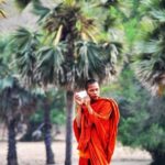 Rural Village with Ox Cart Journey & Monk Blessing - An In-Depth Look at the Tour Experience