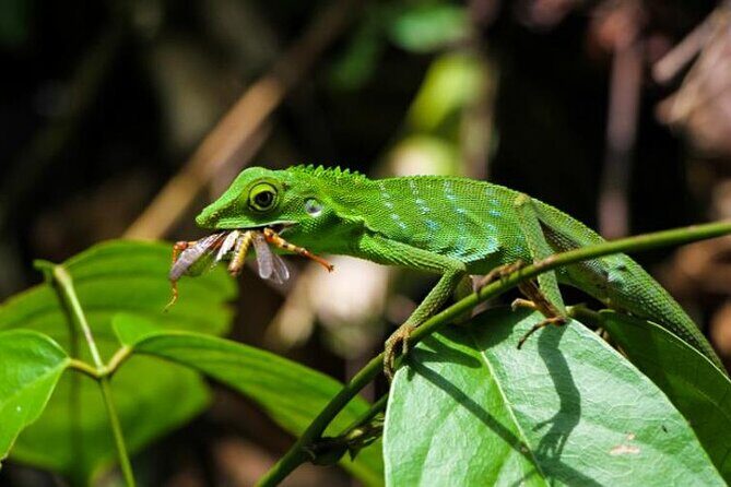 Sabah Highlights Adventure 7D/6N - What Does This Tour Really Offer?