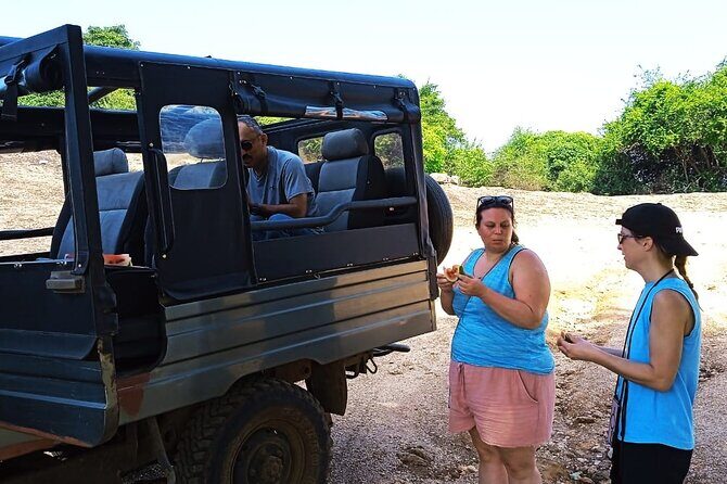 Safari Day Tour to Sigiriya Lion Rock and Golden Cave Temple - Who Will Love This Tour?