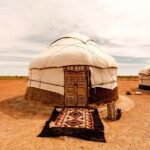 Safari in Kyzylkoum and Lake Aydar (2 days): yurt camping and more! - What’s Included and Practical Considerations