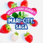 Saga Prefecture Strawberry Picking Experience with Ice Cream - The Taste of Nine Varieties