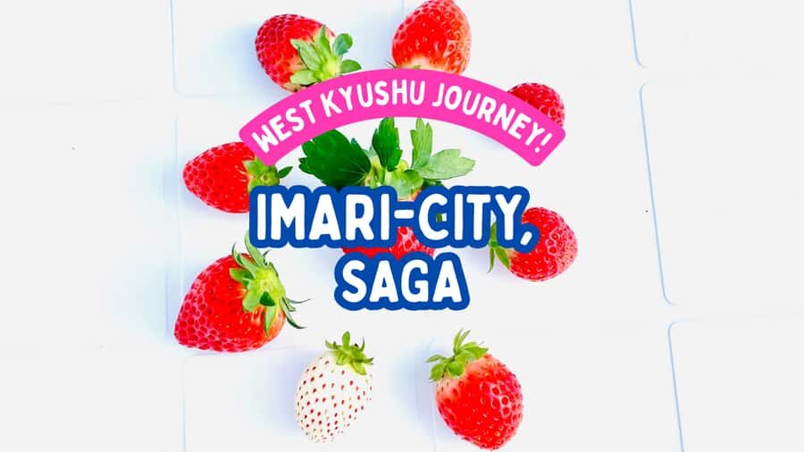 Saga Prefecture Strawberry Picking Experience with Ice Cream - The Taste of Nine Varieties