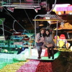 Sagamiko Resort Pleasure Forest Ticket and Ride Pass - Practical Details and Tips