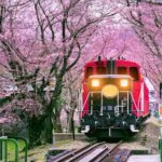 Sagano Romantic Train Ticket - Who Is This Tour Best For?