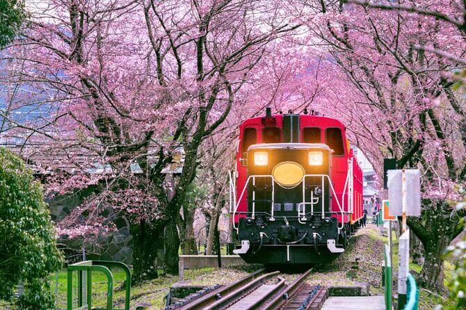 Sagano Romantic Train Ticket - Who Is This Tour Best For?