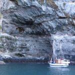 Sailing and Wildlife Tour Akaroa Fox II Sailing - An In-Depth Look at the Akaroa Fox II Sailing Experience
