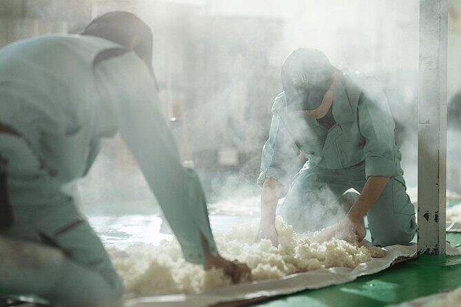 Sake Heritage Nagoya Brewers Insights and Tastings tour - Who Will Love This Tour?