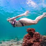 Samaesarn : Finding Nemo Snorkeling Tour Private speedboat - An In-Depth Look at the Samaesarn Snorkeling Tour