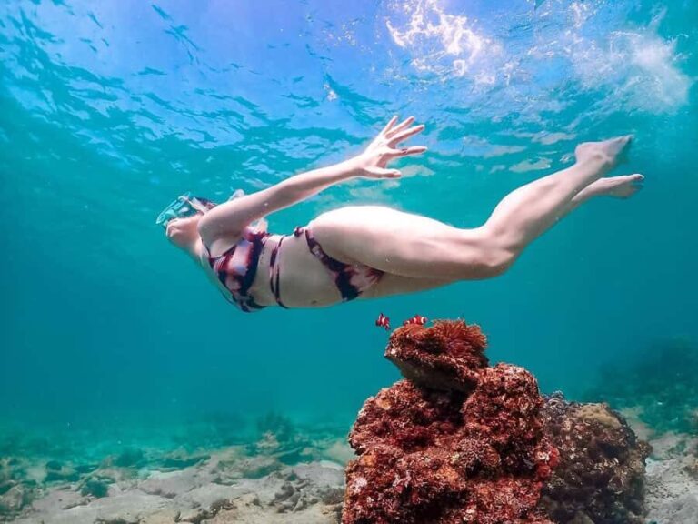 Samaesarn : Finding Nemo Snorkeling Tour Private speedboat - An In-Depth Look at the Samaesarn Snorkeling Tour