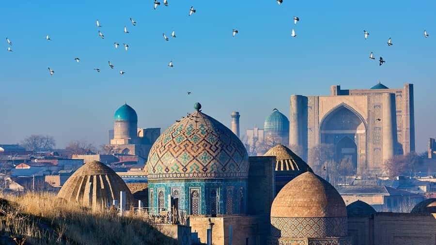 Samarkand: City Tour with Lunch and Dinner - Transportation & Group Dynamics