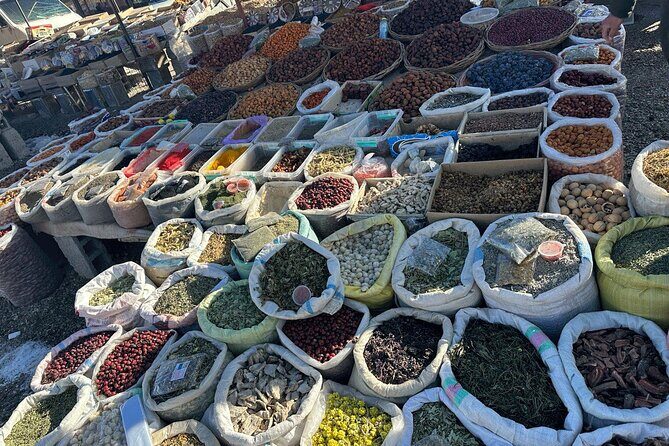 Samarkand Day Trip from Tashkent - Authentic Experiences & Tips Based on Reviews