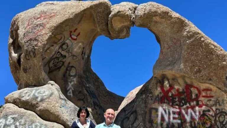 Samarkand: Shahrisabz Day Tour & Mountain Pass Experience - The Practicalities: Transport, Comfort, and Value