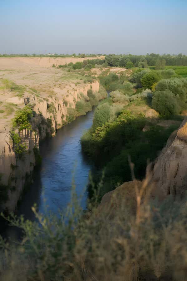 Samarkand: Village Tour with Homemade Dinner & Milking a Cow - Who Should Consider This Tour