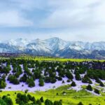 Samarkand: Zomin National Park Day Trip with Guide - A Closer Look at the Zomin National Park Day Trip