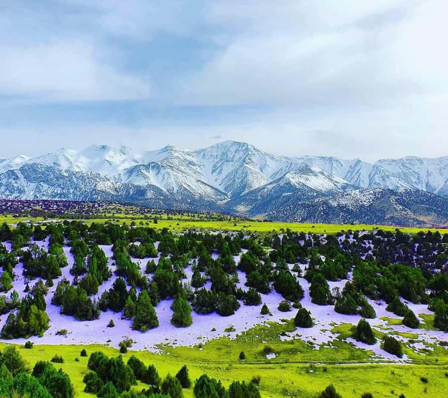 Samarkand: Zomin National Park Day Trip with Guide - A Closer Look at the Zomin National Park Day Trip