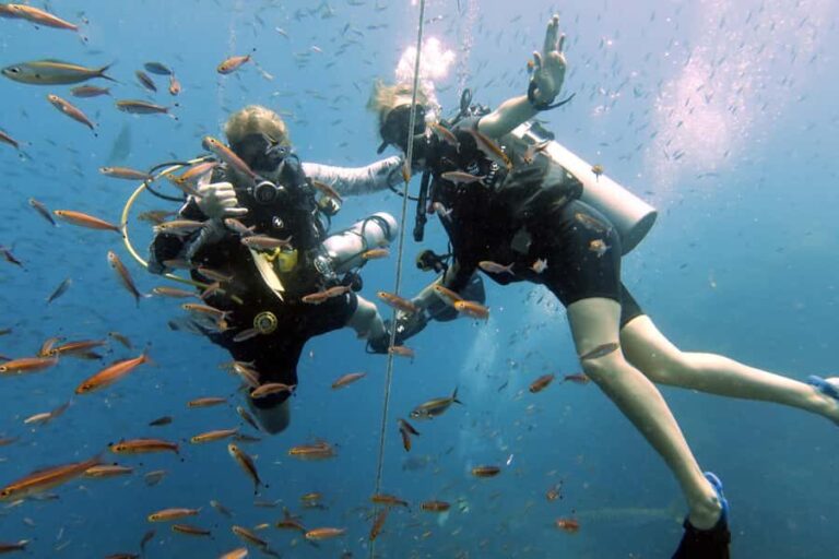 Samui: Intro Dive in Koh Tao - The Experience and the Guides