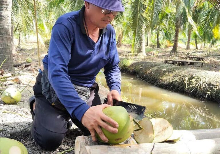 Samut Sakhon: Gastronomy Farm to Table Cooking Experience - Exploring a Coastal Village Lost in Time