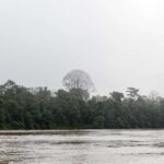 Sandakan: 2-Day Kinabatangan River Wildlife Tour & Cave - Itinerary Breakdown: What to Expect Day-by-Day