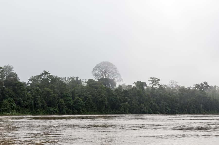 Sandakan: 2-Day Kinabatangan River Wildlife Tour & Cave - Itinerary Breakdown: What to Expect Day-by-Day