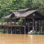 Sandakan: 2D1N Sukau Rainforest Wildlife Journey and Cruises - Why This Tour Offers Great Value