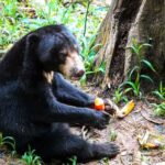 Sandakan: Private City Tour, Rainforest, Jungle Walk, Birds - The Value of a Private, Flexible Tour