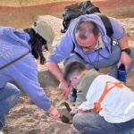 Sanxingdui Day Trip Relic Excavation and Bronze Ware Making - What You Can Expect at the Museum