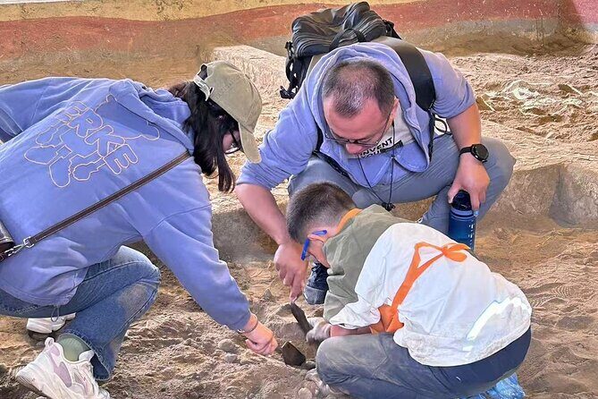 Sanxingdui Day Trip Relic Excavation and Bronze Ware Making - What You Can Expect at the Museum