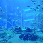 Sanya Haitang Bay Local Discovery Day Tour - Exploring Haitang Bay’s Sunrise