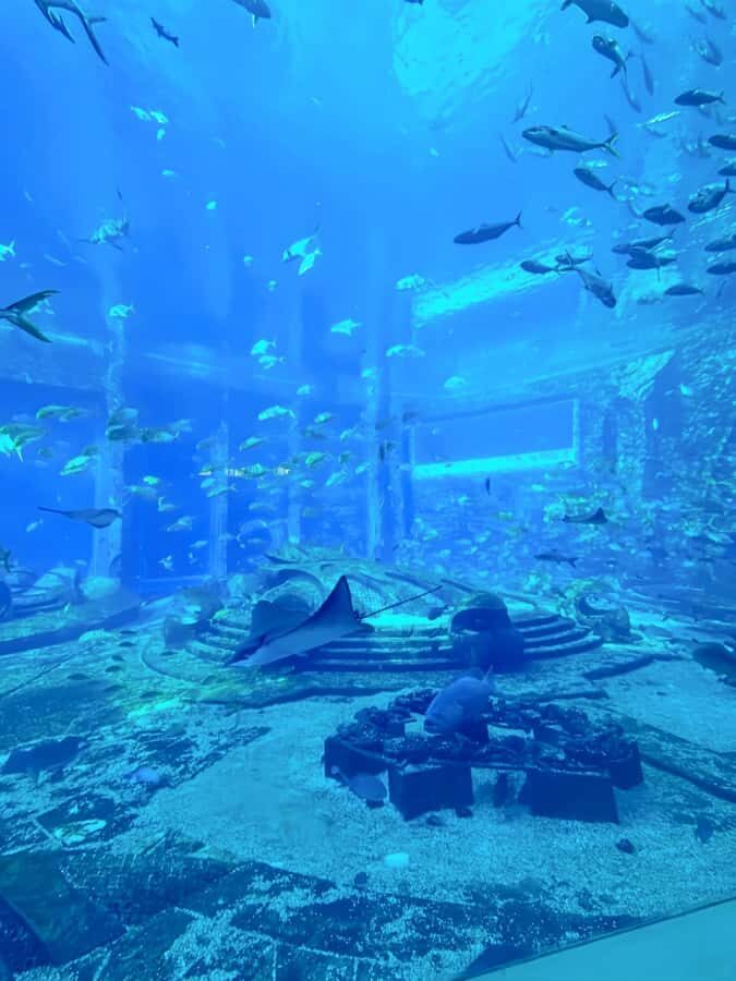 Sanya Haitang Bay Local Discovery Day Tour - Exploring Haitang Bay’s Sunrise