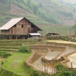 Sapa 2 Days 1 Night Tour From Hanoi By Bus (Homestay Overnight) - Practical Details and Tips