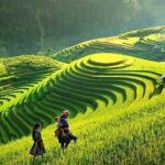 Sapa 2 Days 2 Nights Homestay Motorbike Tour - What Reviewers Say