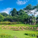 Sapa: "Dragon Jaw Mountain" Panorama Experience - The Experience of Ham Rong Mountain