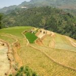Sapa Half Day hard trekking villages trip with lunch & guide - What to Expect from the Tour