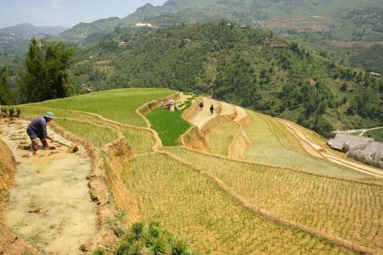 Sapa Half Day hard trekking villages trip with lunch & guide - What to Expect from the Tour