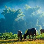 Sapa Highlights Getaway: 2-Day Journey with Luxury 5-Star Stay - Final Thoughts