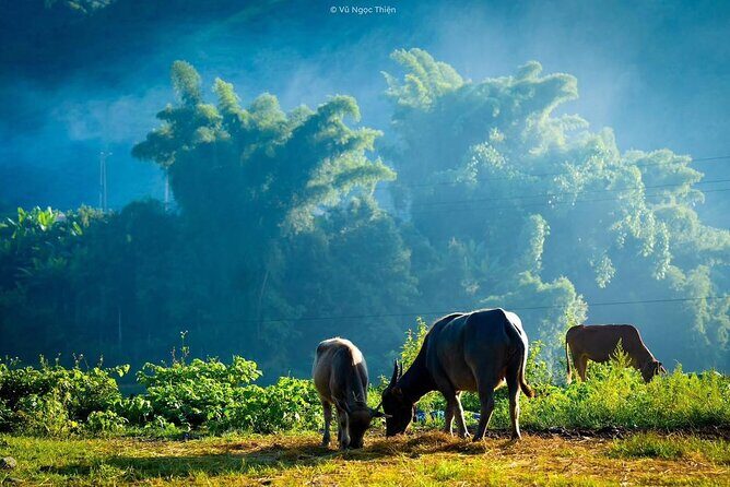 Sapa Highlights Getaway: 2-Day Journey with Luxury 5-Star Stay - Final Thoughts