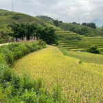 Sapa Motorbike Journey Through Stunning Villages With Rider - Price and Value Analysis
