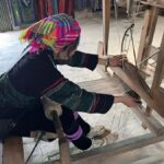 Sapa : Muong Hoa Valley 1 Day Trek  Stunning Rice Terraces - Exploring the Itinerary in Detail