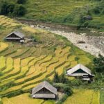 Sapa Muong Hoa Valley Trekking Stunning Rice Terraces - Why This Tour Offers Great Value
