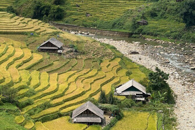 Sapa Muong Hoa Valley Trekking Stunning Rice Terraces - Why This Tour Offers Great Value