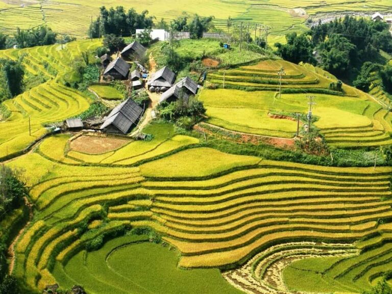 Sapa: No-Trek Tour - Muong Hoa Valley, Villages & Spa - Authentic Experiences & Guide Highlights