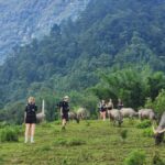 Sapa: One Day Trekking With Local Guide & Lunch - The Practical Details: What You Need to Know