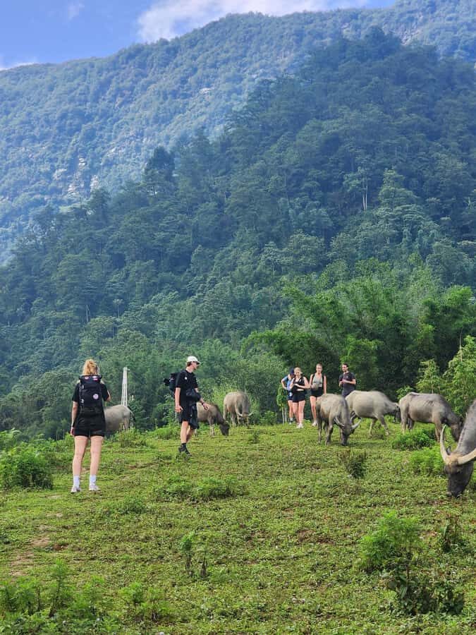 Sapa: One Day Trekking With Local Guide & Lunch - The Practical Details: What You Need to Know