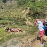 Sapa Scenic Journey at Terraced Fields and Local Village Life - Who Is This Tour Best Suited For?