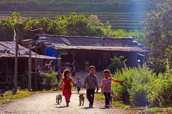 Sapa: Scenic Trek Through Majestic Rice Terraces & Rural Villages - Practical Details and Experience Quality