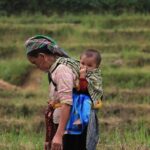 Sapa Trekking 3 Days 2 Nights by Bus - Homestay & Hotel - Practical Considerations and Value